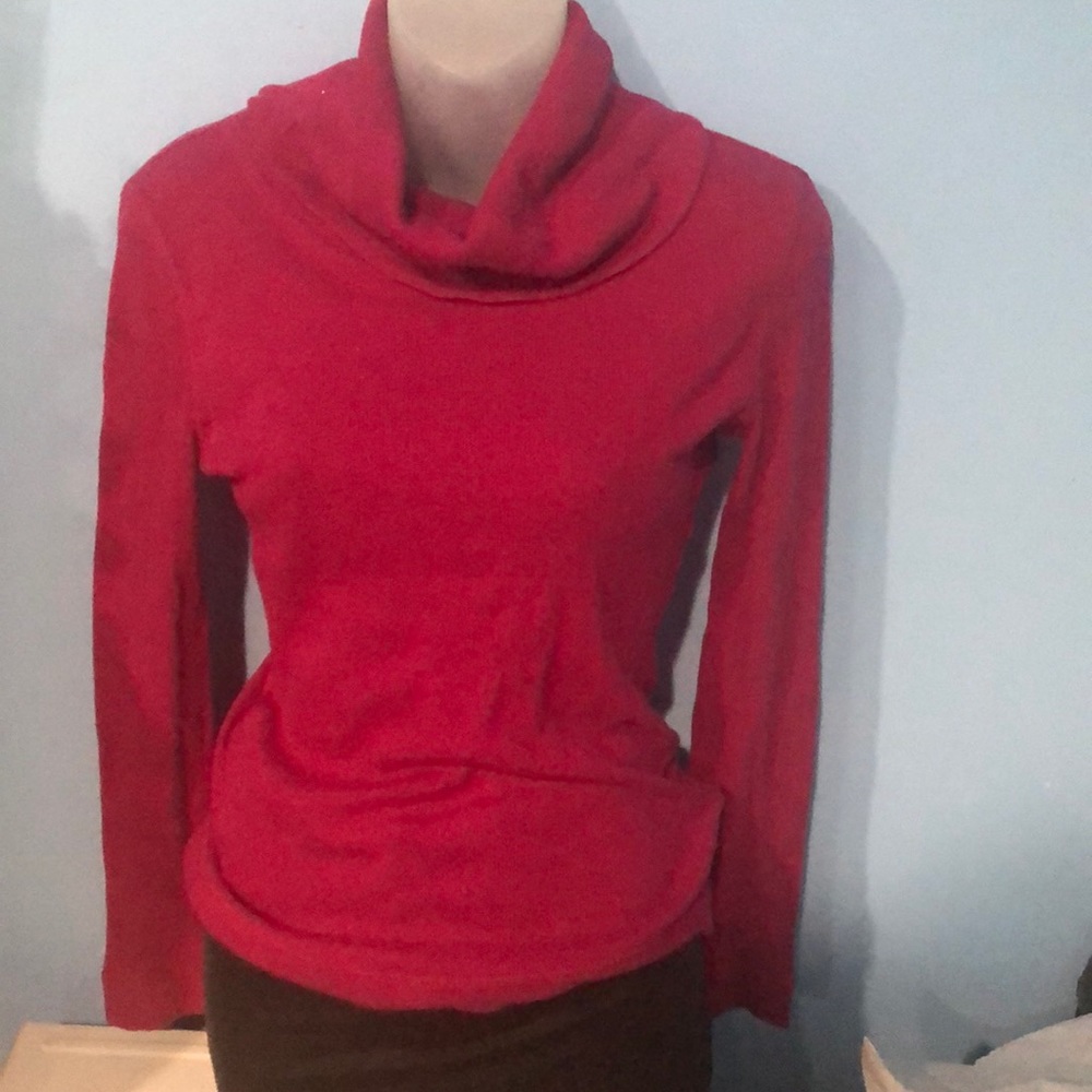 womans ralph lauren turtle neck blouse